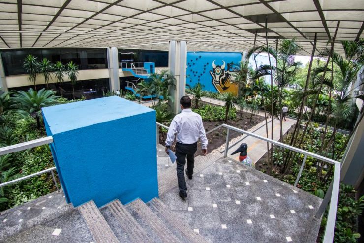 Governo decreta ponto facultativo nos dias 23 e 30 de dezembro
